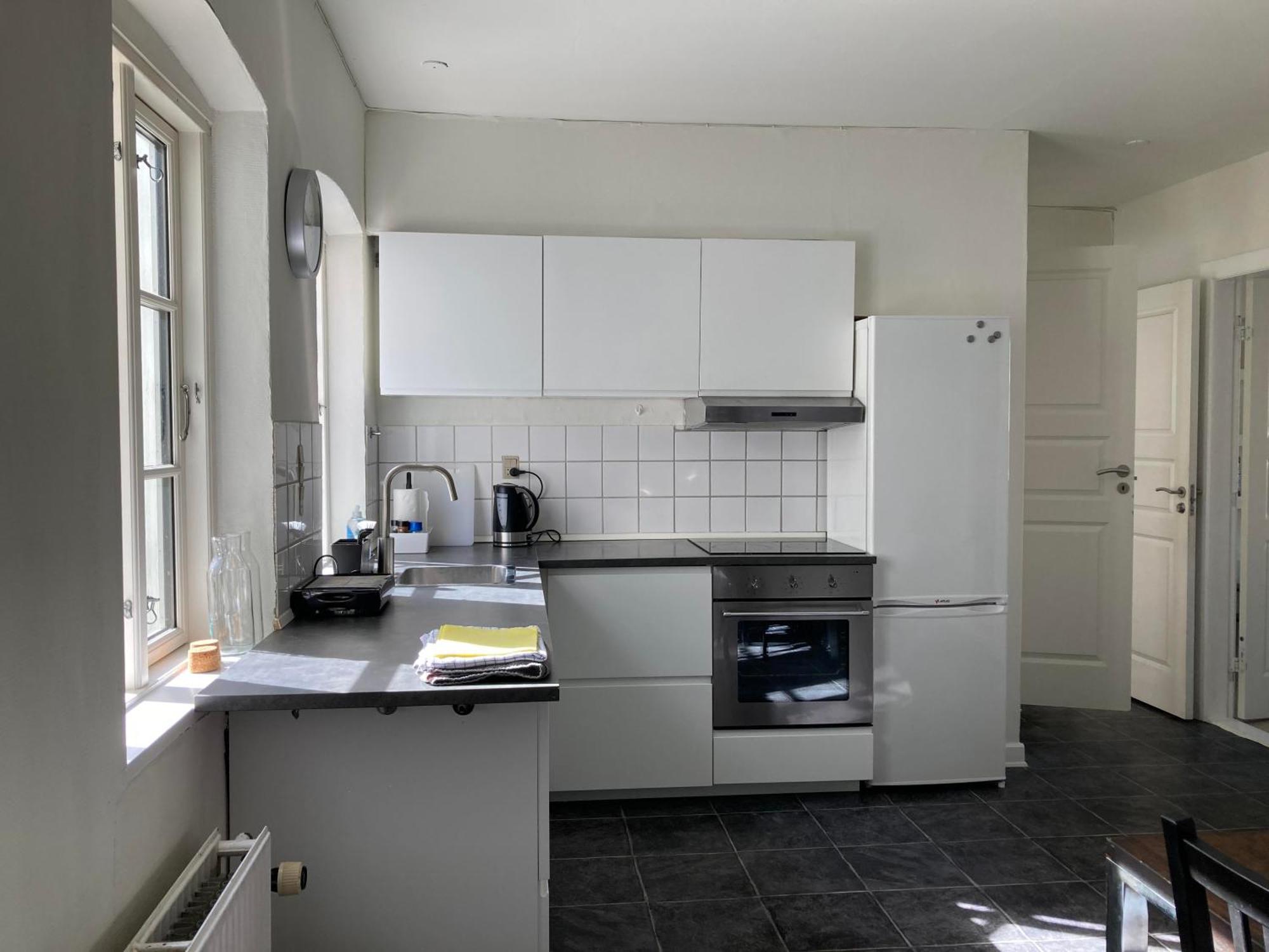 Professor Labri Apartments Odense Exterior photo